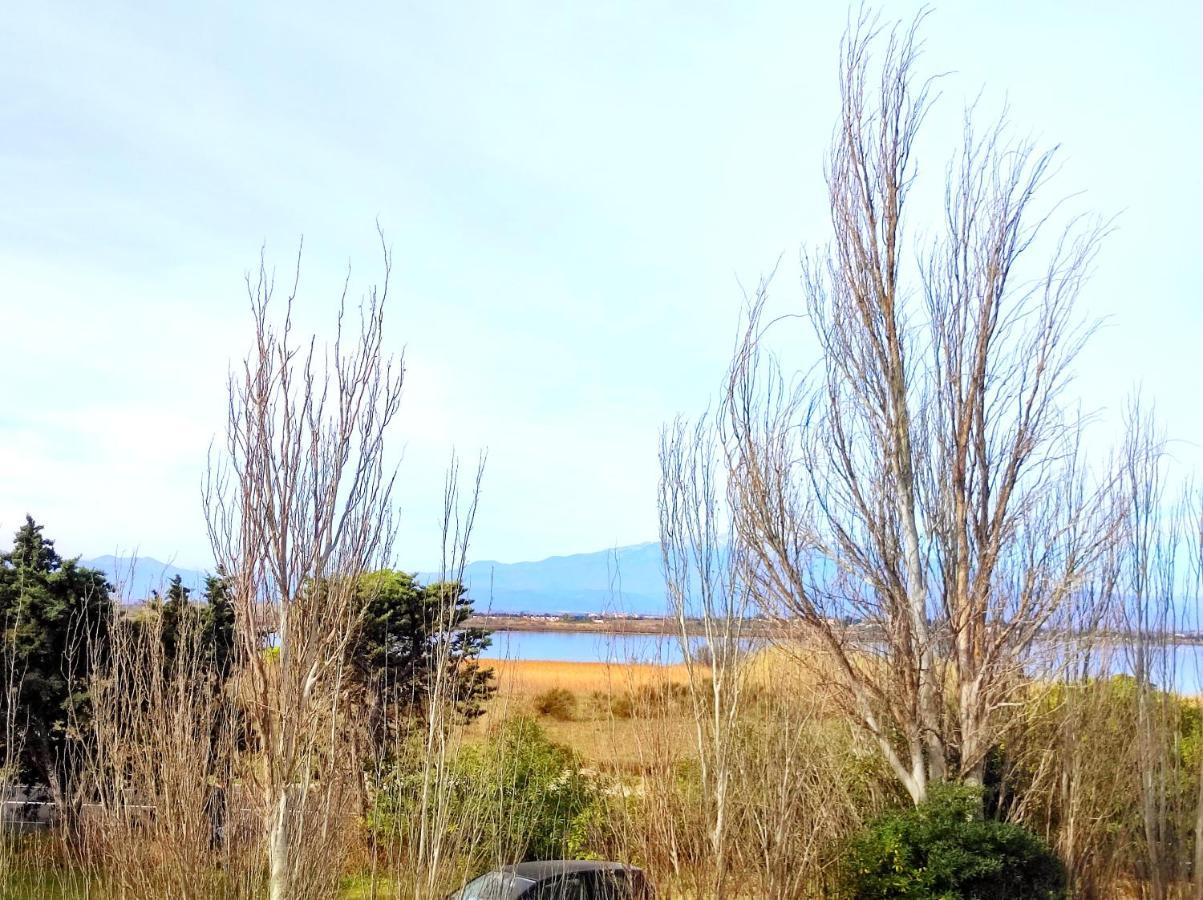 Casa Flamingo - Appartement calme et moderne - 5 - Canet-en-Roussillon Esterno foto